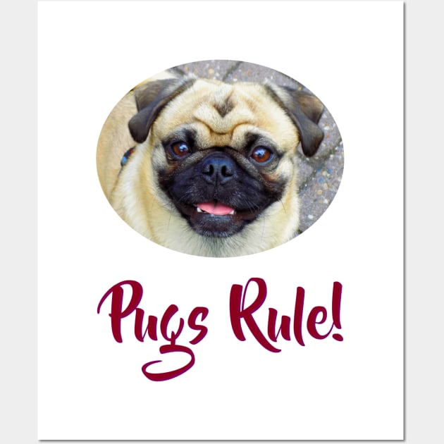 Pugs Rule! Wall Art by Naves